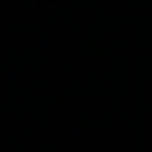 Meet your Posher, Dani